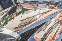 Scherfler6266