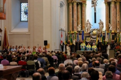 Foto: Basilika Mariazell/Anna Scherfler