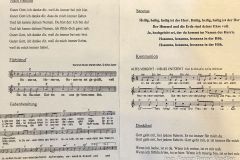 Palmsonntag 2026 in Gußwerk - Foto: Ing. Franz Peter Stadler