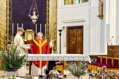 Palmsonntag 2026 in Gußwerk - Foto: Ing. Franz Peter Stadler