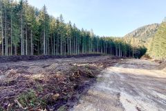 Bauarbeiten am Erlaufsee - Foto: Mariazell Online