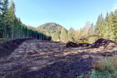 Bauarbeiten am Erlaufsee - Foto: Mariazell Online