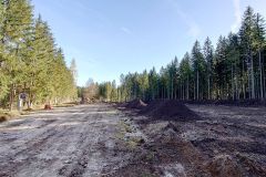 Bauarbeiten am Erlaufsee - Foto: Mariazell Online