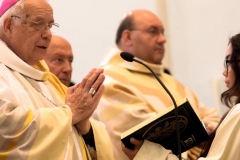 Foto: Basilika Mariazell/Anna Scherfler