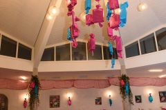 Pfarrball 2024 - Foto: Josef Kuss Pfarrball 2024 - Foto: Josef Kuss