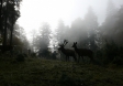 Foto: Martin Prumetz