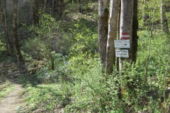 Salzaklamm