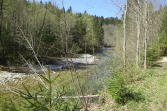 Salzaklamm
