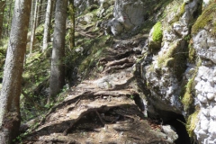 Salzaklamm