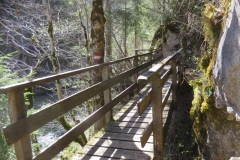 Salzaklamm