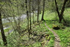 Salzaklamm