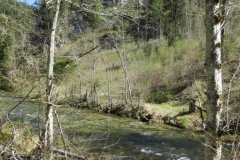 Salzaklamm