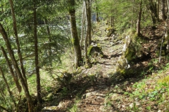 Salzaklamm