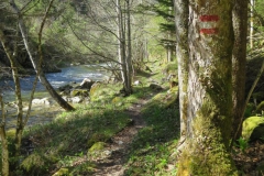 Salzaklamm