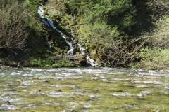 Salzaklamm