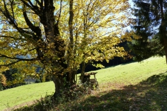 Sauwand Rundwanderung