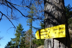 Sauwand Rundwanderung