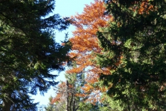 Sauwand Rundwanderung