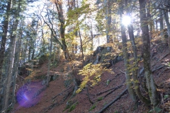 Sauwand Rundwanderung