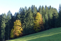 Sauwand Rundwanderung