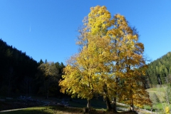 Sauwand Rundwanderung