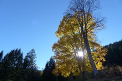 Sauwand Rundwanderung