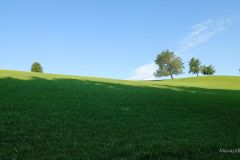 Fußwallfahrt zum Sonntagberg 2025 - Foto: Mariazell Online