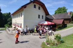 Fußwallfahrt zum Sonntagberg 2025 - Foto: Mariazell Online