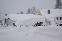 Schneebilder aus Mariazell - 10. Jänner 2019 - Foto: Josef Kuss