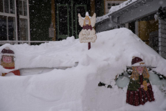 Schneebilder aus Mariazell - 10. Jänner 2019 - Foto: Josef Kuss