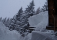 Schneekatastrophe 2006 - Foto: Fritz Zimmerl
