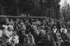 Seer Konzert Bergwelle 2018 - Foto: Mariazeller Land GmbH - Anna Scherfler