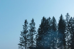 Seer Konzert Bergwelle 2018 - Foto: Mariazeller Land GmbH - Anna Scherfler