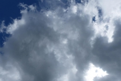 Segelflug-Staatsmeisterschaften Tag 2 Foto: Katja Girrer