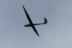 Segelflug-Staatsmeisterschaften Tag 2 Foto: Katja Girrer