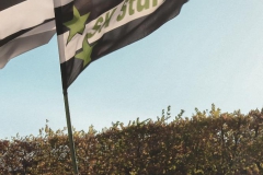 Foto: Basilika Mariazell/Anna Scherfler