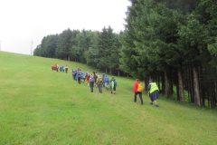 Sonntagberg-Wallfahrt 2017