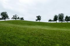 Sonntagberg-Wallfahrt 2021 - Foto: Mariazell Online