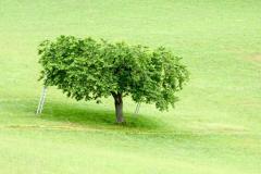 Sonntagberg-Wallfahrt 2021 - Foto: Mariazell Online