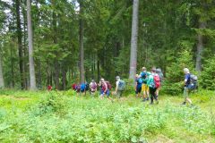 Fußwallfahrt zum Sonntagberg 2026 - Foto: Mariazell Online