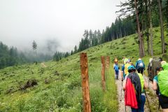 Sonntagberg-Wallfahrt 2023 - Foto: Mariazell Online