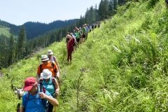 Sonntagberg-Wallfahrt 2024 - Foto: Mariazell Online