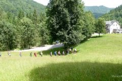 Sonntagberg-Wallfahrt 2024 - Foto: Mariazell Online Sonntagberg-Wallfahrt 2024 - Foto: Mariazell Online