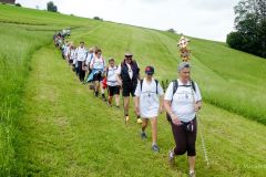 Sonntagberg-Wallfahrt 2024 - Foto: Mariazell Online