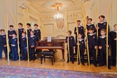 Spanische Palmen für die Wiener Sängerknaben - Foto: Mariazell Online