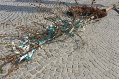 Mariazeller Stadtfest 2018