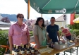 Mariazeller Stadtfest 2016