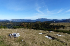 Zeller Staritzen