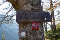 Zeller Staritzen