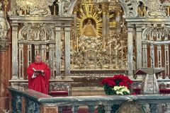 Gottesdienst zum Stefanitag 2025 in Mariazell - Foto: Franz Peter Stadler